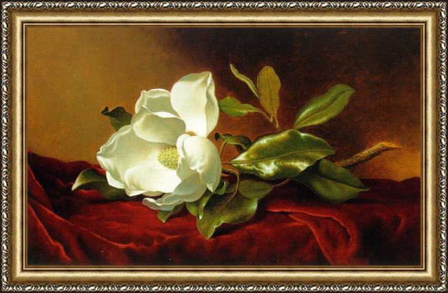 Framed Martin Johnson Heade a magnolia on red velvet painting