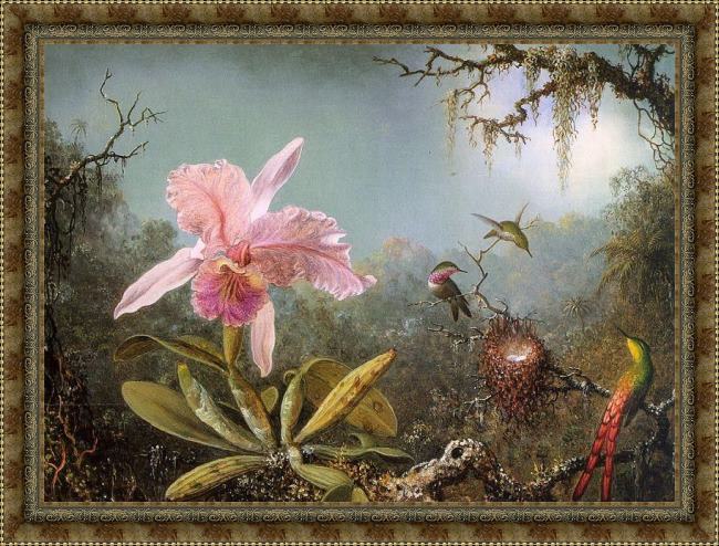 Framed Martin Johnson Heade cattelya orchid and three brazilian hummingbirds painting
