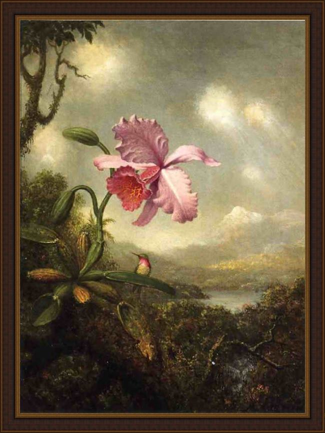 Framed Martin Johnson Heade hummingbird and orchid, sun breaking through the clouds painting