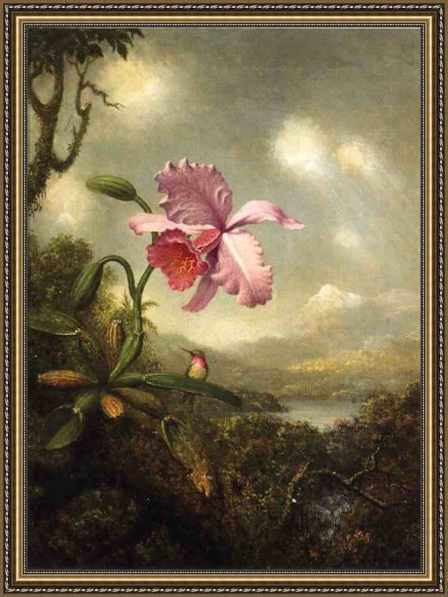 Framed Martin Johnson Heade hummingbird and orchid, sun breaking through the clouds painting