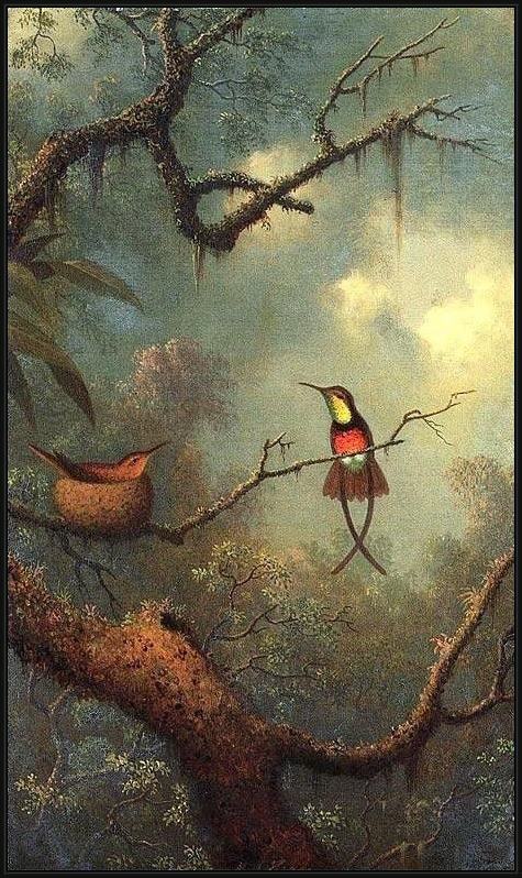 Framed Martin Johnson Heade hummingbirds 1870 painting