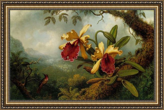 Framed Martin Johnson Heade orchids and hummingbird painting