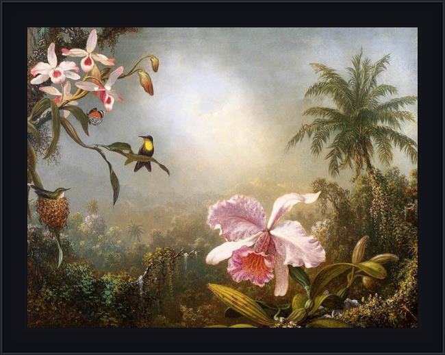 Framed Martin Johnson Heade orchids, nesting hummingbirds and a butterfly painting