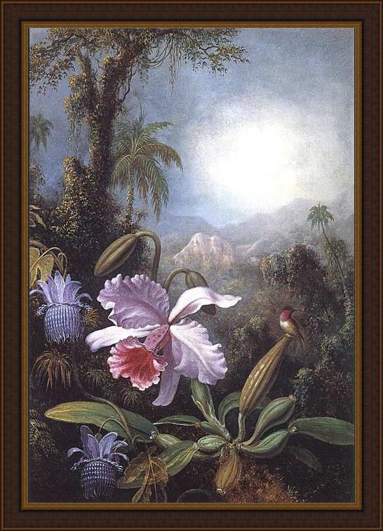 Framed Martin Johnson Heade orchids passion flowers and hummingbird painting