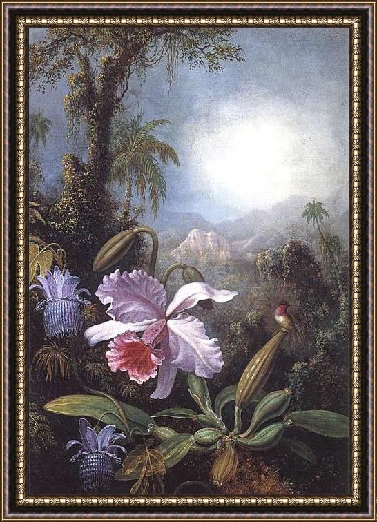 Framed Martin Johnson Heade orchids passion flowers and hummingbird painting