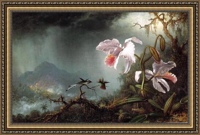 Framed Martin Johnson Heade two fighting hummingbirds with two orchids painting
