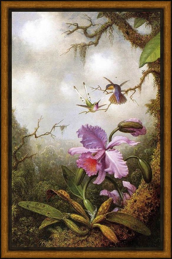 Framed Martin Johnson Heade two hummingbirds and a pinkorchid painting