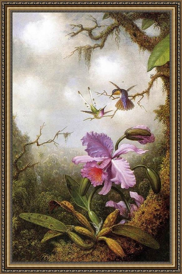 Framed Martin Johnson Heade two hummingbirds and a pinkorchid painting