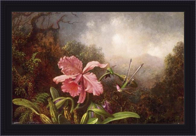 Framed Martin Johnson Heade two hummingbirds by an orchid painting