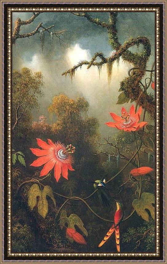 Framed Martin Johnson Heade two hummingbirds perched on passion flower vines painting