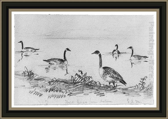 Framed Shepard Alonzo Mount wild geese (from mcguire scrapbook) painting