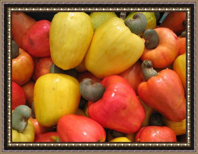 Framed Unknown Artist cashew fruits painting