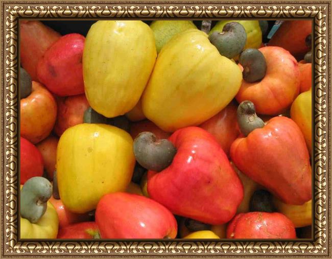 Framed Unknown Artist cashew fruits painting