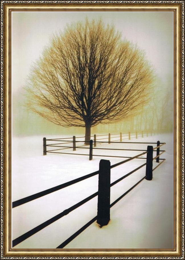 Framed Unknown Artist david winston solitude painting