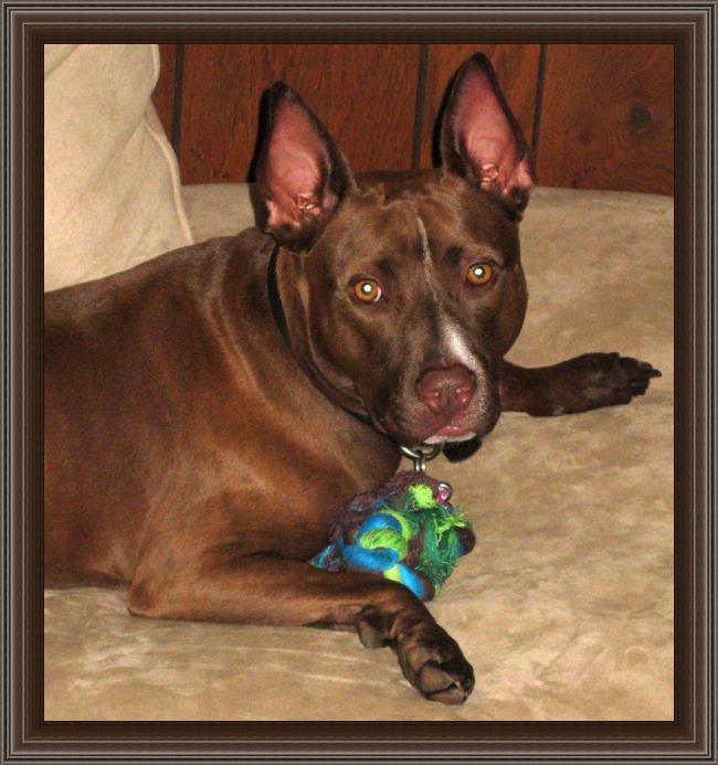 Framed Unknown Artist felony c painting