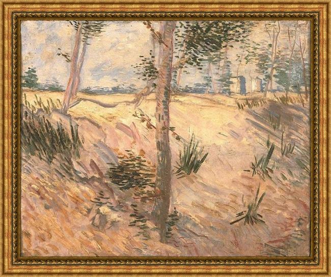 Framed Vincent van Gogh arbre dans un champ 1887 painting