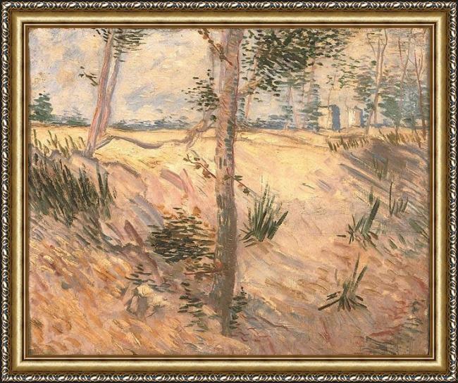 Framed Vincent van Gogh arbre dans un champ 1887 painting