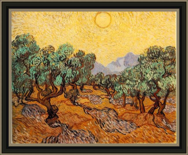 Framed Vincent van Gogh olive trees 1889 painting