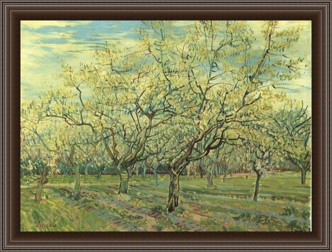 Framed Vincent van Gogh orchard with blossoming plum trees painting