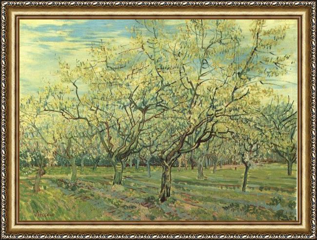 Framed Vincent van Gogh orchard with blossoming plum trees painting