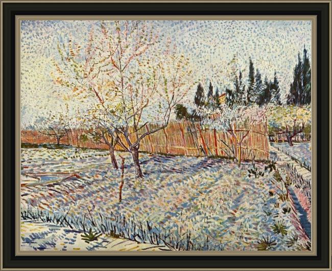 Framed Vincent van Gogh orchard with cypress painting