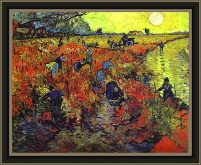 Framed Vincent van Gogh red vineyards painting
