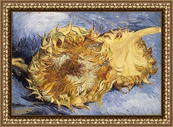 Framed Vincent van Gogh sunflowers painting