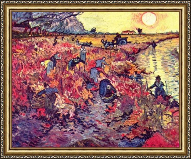 Framed Vincent van Gogh the red vineyard painting