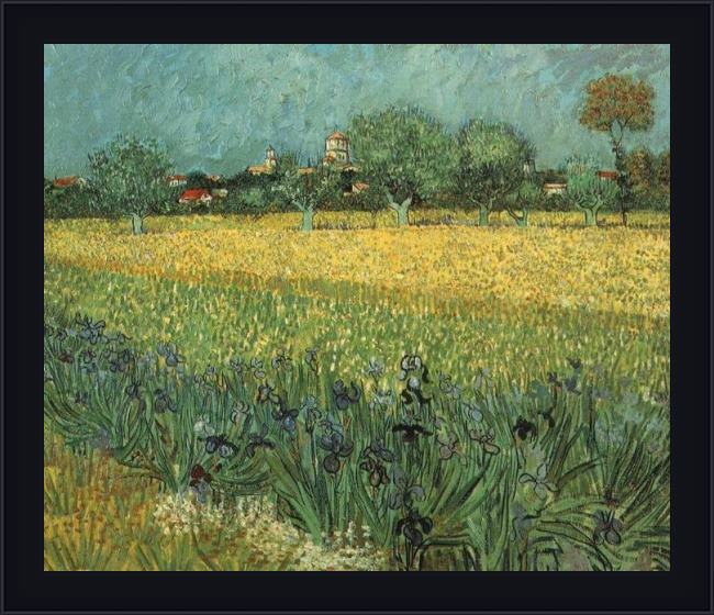 Framed Vincent van Gogh view of arles with irises painting