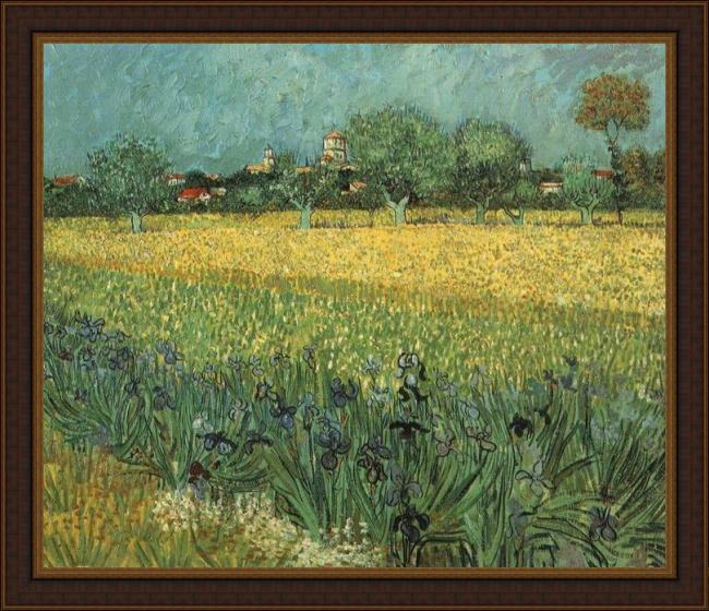 Framed Vincent van Gogh view of arles with irises painting
