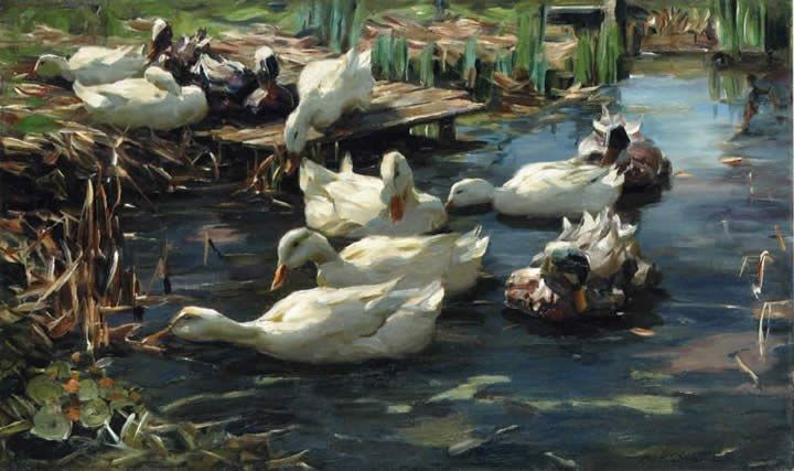 Alexander Koester Ducks in a Quiet Pool Painting 50% off ...