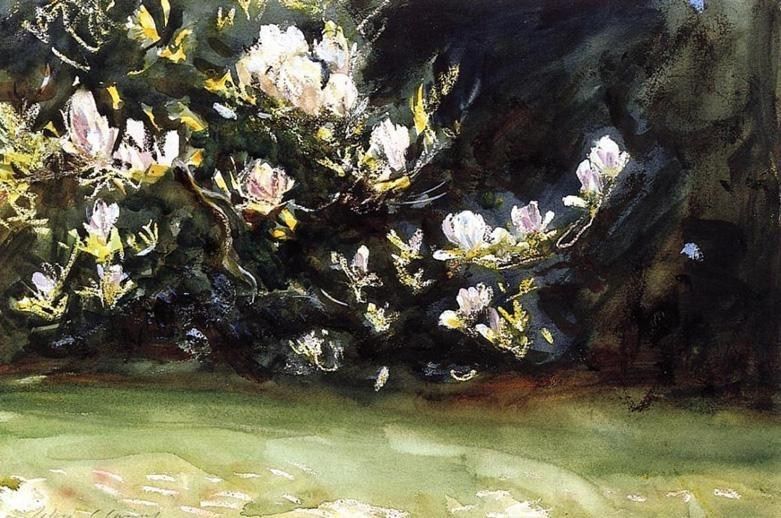 John Singer Sargent Magnolias