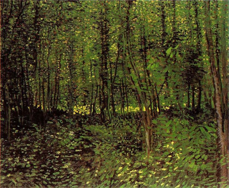 Vincent van Gogh Trees And Undergrowth